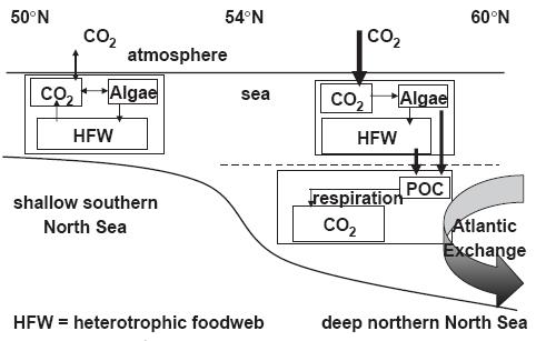 North Sea의 탄소를 포함한 해양생태구조 모식도