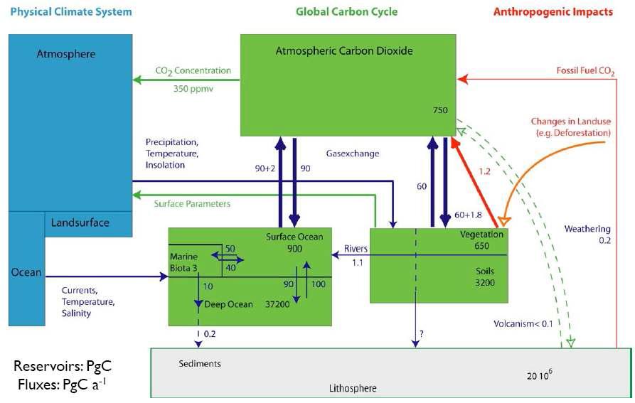 전지구적 CO2의 생지화학적 순환