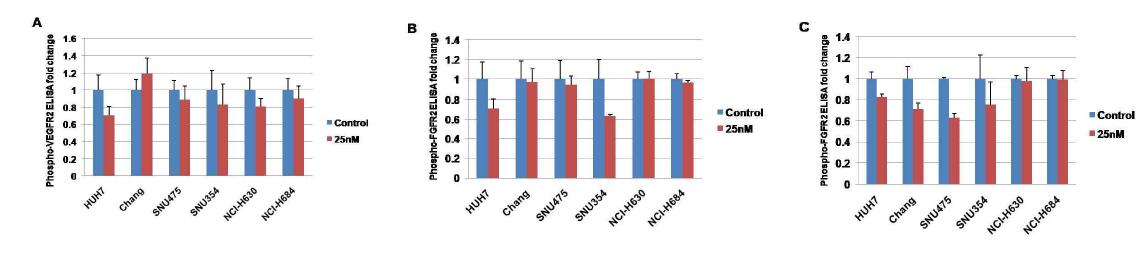 Inhibition effects of BMS-582664(brivanib) on (A) VEGFR2 and (B) FGFR2(FGF1) (C) FGFR2(FGF2) phosphorylation in hepatocellular carcinoma cell lines.