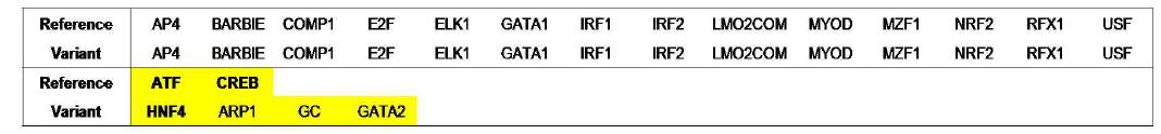 Transcription factor binding to reference gene or variant gene