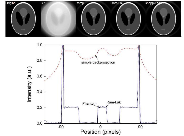Ram-Lak filter 적용 후 Shepp-Logan phantom의 중심 프로파일