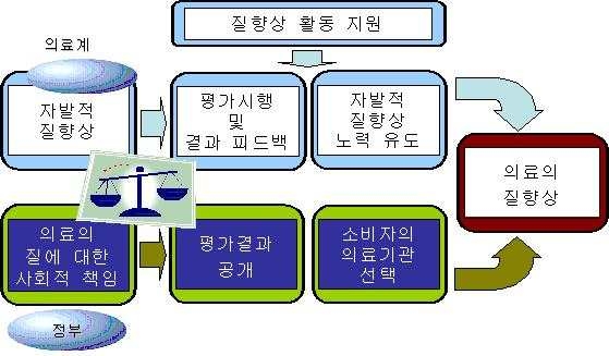 그림 7. 의료기관 평가의 목적 달성을 위한 전략