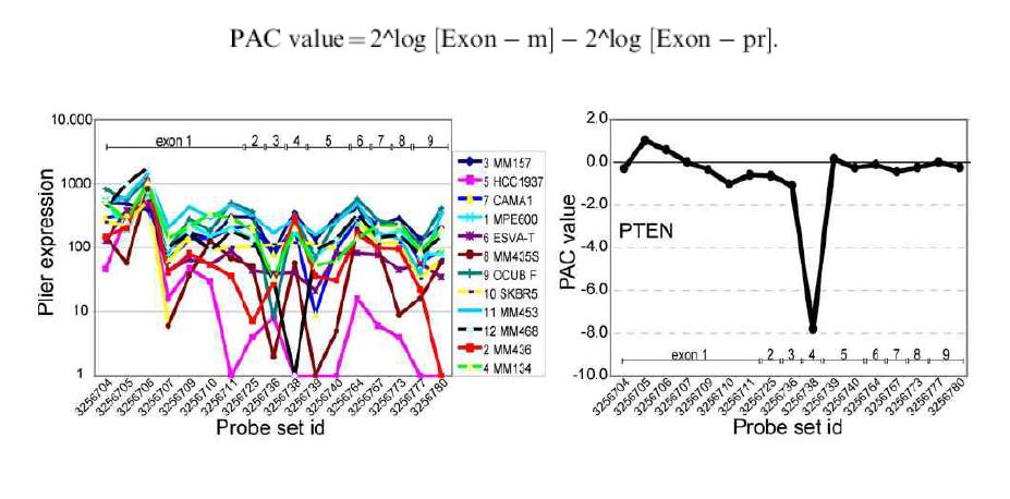 PTEN 유전자의 breast cancer에서의 변이차이를 PAC algorithm과 (좌측) PLIER algorithm (우측)을 적용하여 비교한 결과.