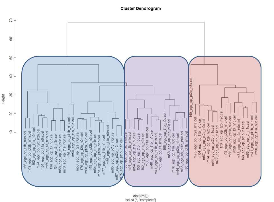 Normal과 cancer 54개 sample에 대한 complete linkage hierarchical clustering.