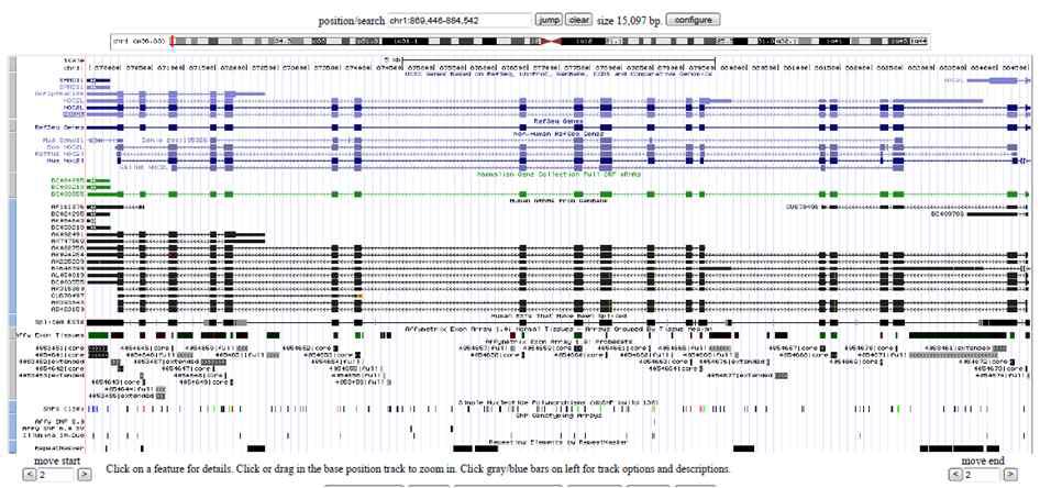 NOC2L의 genome 상의 alignment.