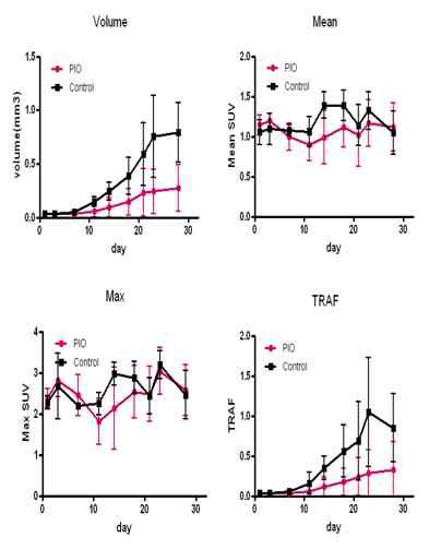 early DRO 종양모델에서 재분화 유도제 (pioglitazone)치료 후, FDG PET 분자영상