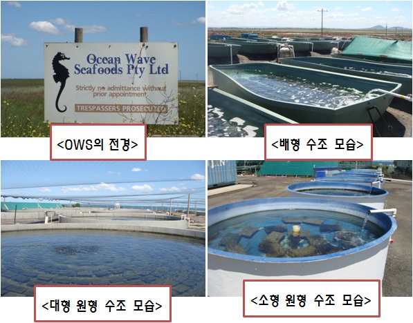 그림 5-11 Ocean Wave Seafood사의 양식장 전경