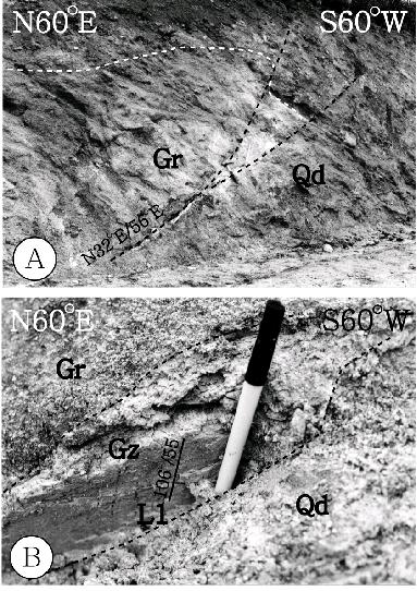 (A) 개곡5단층의 노두. 제3기 초 화강암(Gr)과 고기의 제4기 역층