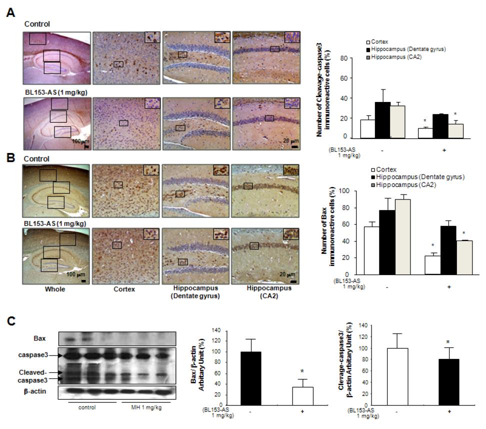 유전자 변형 동물 모델 (Swedish APP Tg mouse)에서의 BL153-AS의 뇌내 세포사 억제와 관련된 유전자들의 발현에의 효과