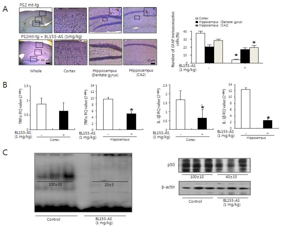 유전자 변형에 의한 치매 동물 (Presenilin 2 Tg mouse) 에서의 BL153-AS의 염증성 반응에 대한 영향