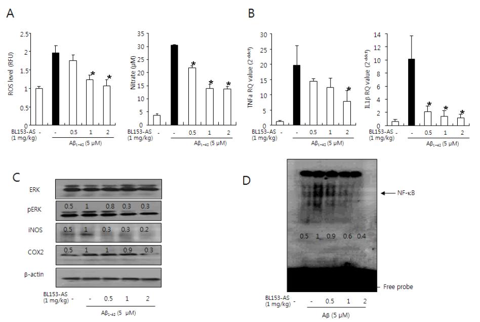 Cultured astrocyte에서 아밀로이드베타에 의하여 유도된 염증성 반응에 대한 BL153-AS의 영향