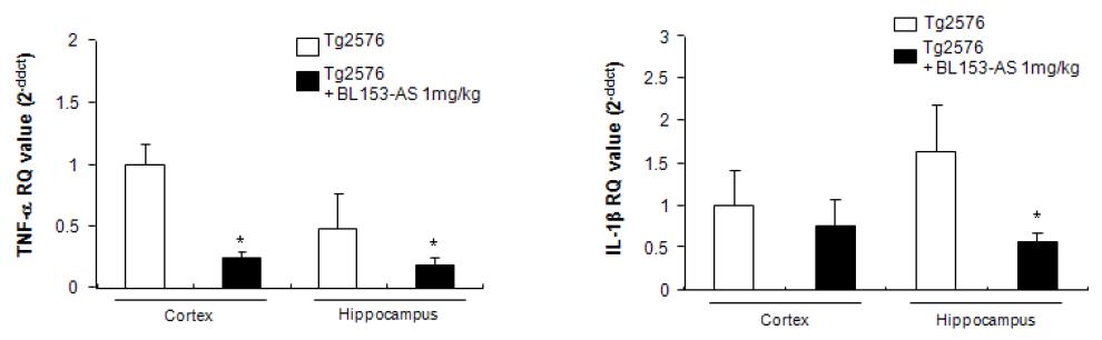 BL153-AS가 유전자 변형에 의한 치매 동물 (Tg2576 mouse)에서의 세포사에 관련된 유전자 발현에 대한 영향