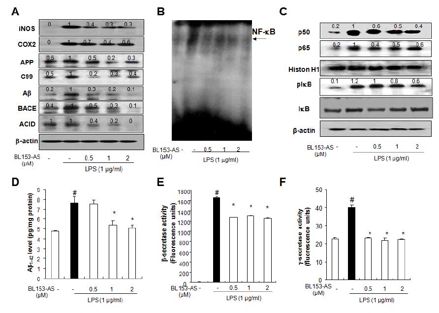 배양된 astrocyte에서 LPS에 의하여 유도된 염증성 반응 및 아밀로이드베타의 생성에 대한 BL153-AS의 영향