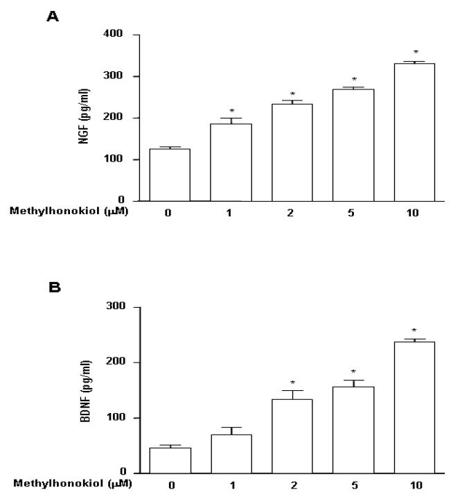 In vitro 에서의 BL153-AS의 Nerve growth factor 효과