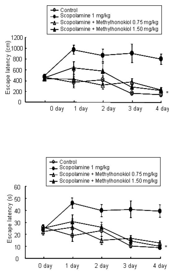 BL153-AS의 마우스에서 Scopolamine에 의해 유도된 기억력손상 개선효과 (수중미로시험)