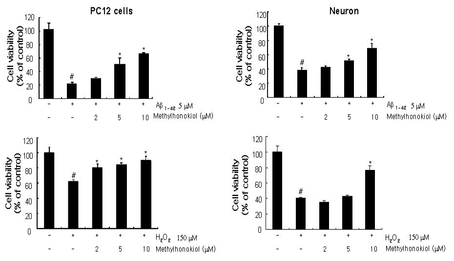 PC12 cell 및 cortical neurons에서의 BL153-AS의 신경 세포사 억제 효과 (In vitro)
