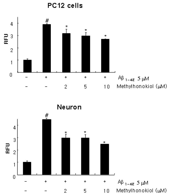PC12 cell 및 cortical neurons에서의 BL153-AS의 ROS 억제 효과