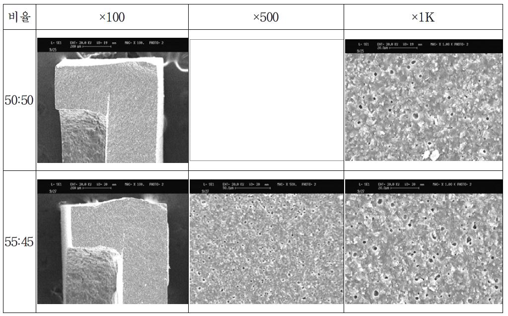적용된 세라믹 기판의 내부 단면 SEM 분석