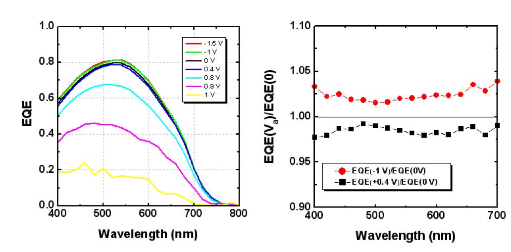 Biased EQE 측정결과