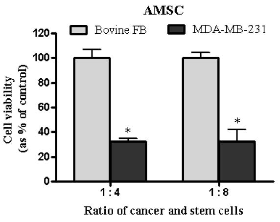 유방암세포주 (MDA-MB-231) 및 primary 세포주 (Bovine fibroblast: Bovine FB)와 인간 태아의 양막에서 추출한 양막줄기세포주 (AMSC)를 함께 배양할 때 유방암 및 primary 세포주의 cell viability.