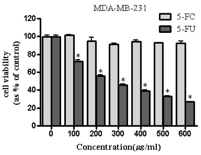 5-FC와 5-FU처리 했을 경우 유방암 세포주의 cell viability.