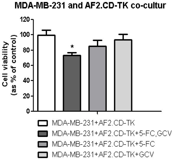 Co-culture system을 이용해 유전자 조작된 양수줄기세포주(AF2.CD-TK)와 유방암세포주 (MDA-MB-231)를 같이 배양한 후 produrg 5-FC 500 ㎍/ml와 GCV 1 ㎍/ml를 함께 또는 각각 처리 했을 경우 유방암세포주의 cell viability.