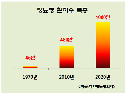 국내 당뇨병 환자 수의 변화 추이