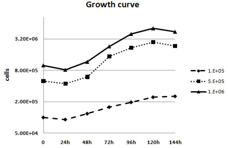 양막 유래 줄기세포의 시간에 따른 세포 증식 곡선