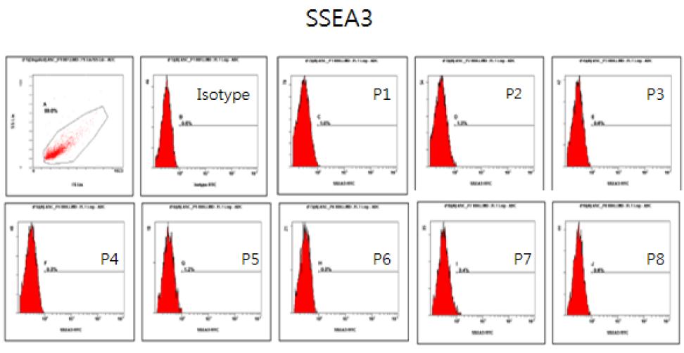 계대별 SSEA-3 flowcytometry 결과