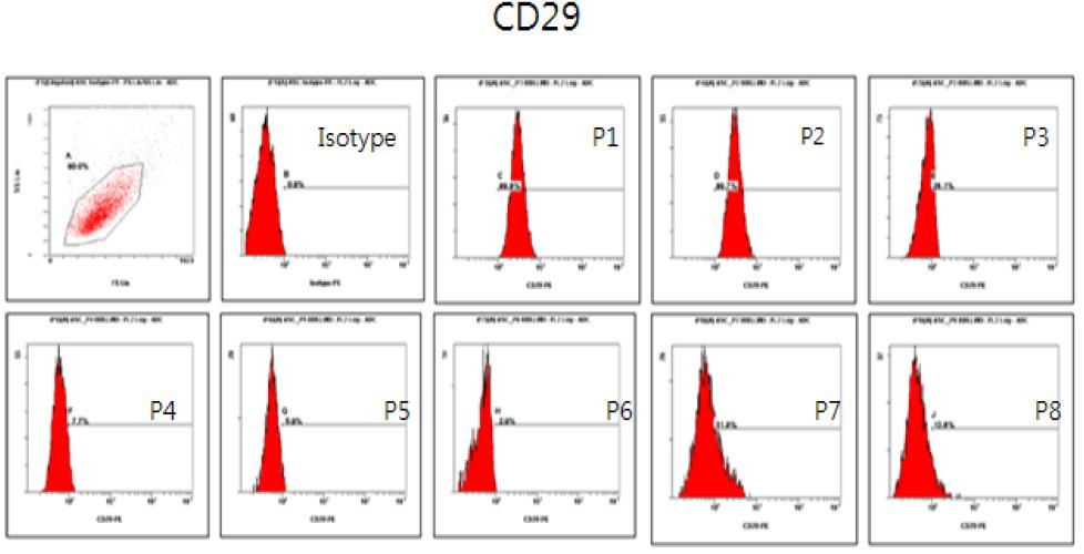 계대별 CD29 flowcytometry 결과