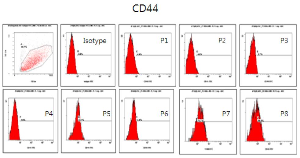 계대별 CD44 flowcytometry 결과