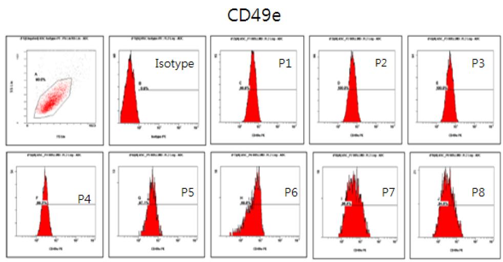 계대별 CD49e flowcytometry 결과