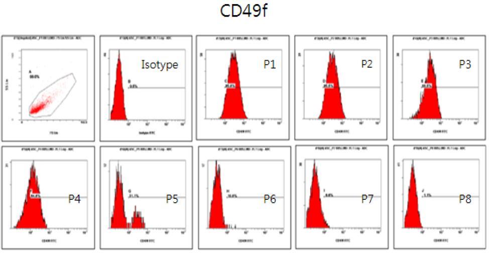 계대별 CD49f flowcytometry 결과