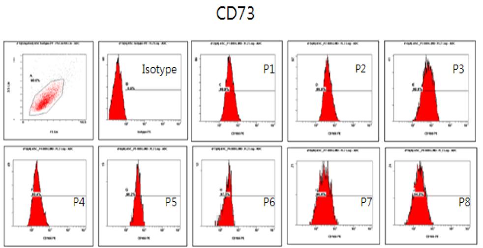 계대별 CD73 flowcytometry 결과