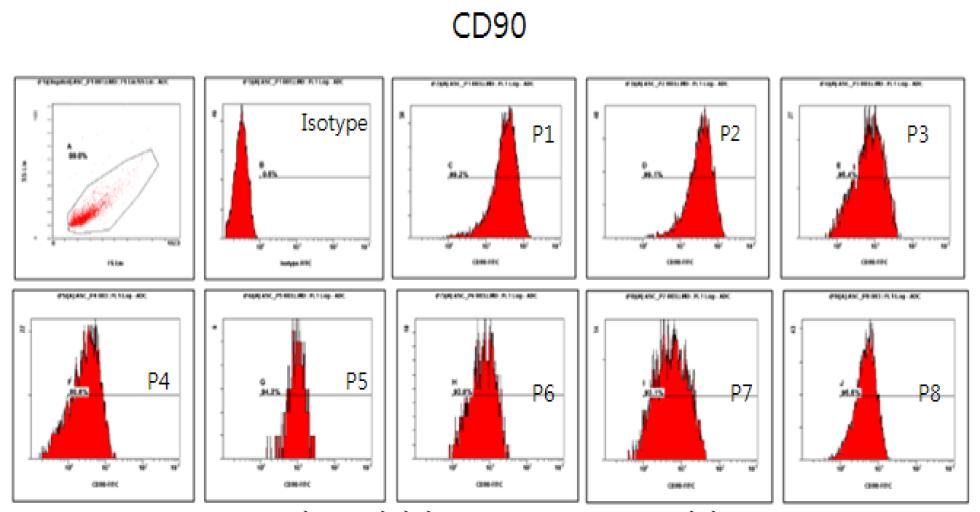 계대별 CD90 flowcytometry 결과