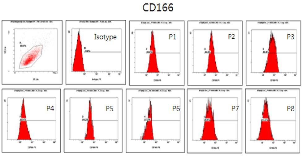 계대별 CD166 flowcytometry 결과