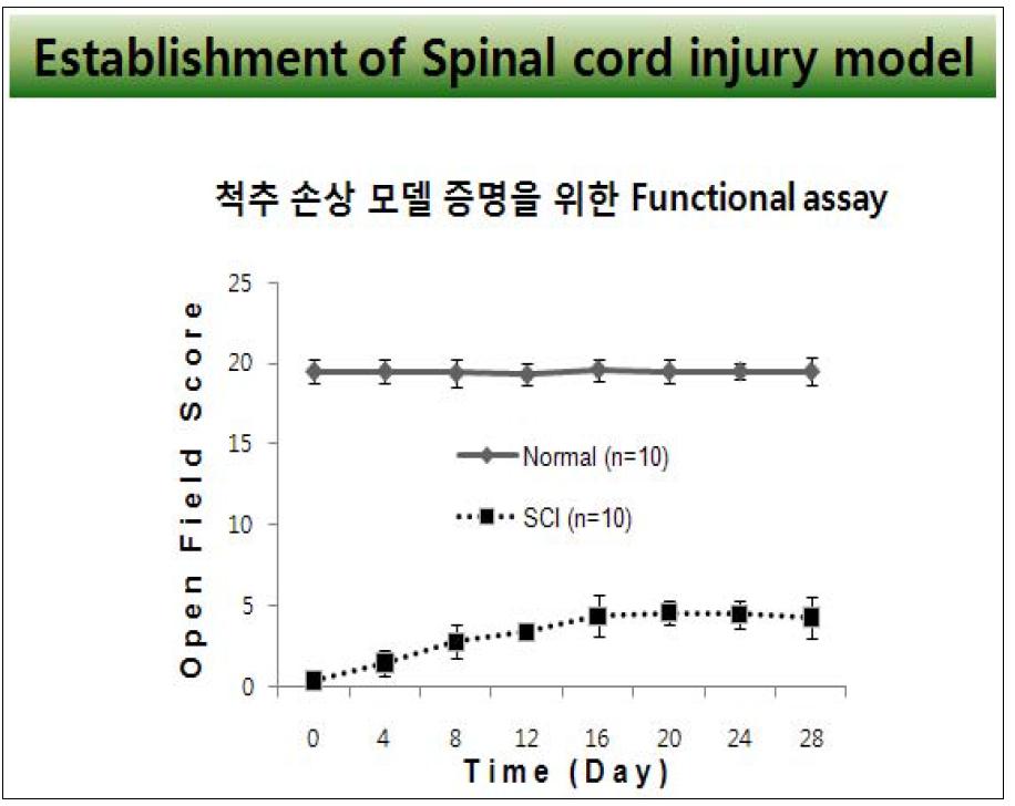 척수 손상 동물 모델 확립을 위한 기능 시험