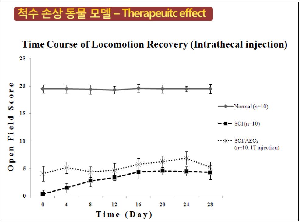척수강내 줄기세포 주입 경로의 기능적 검사