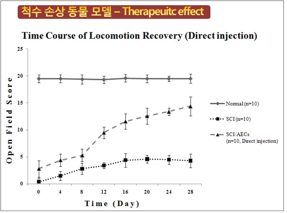 손상 부위 직접 줄기세포 주입 경로의 기능적 검사