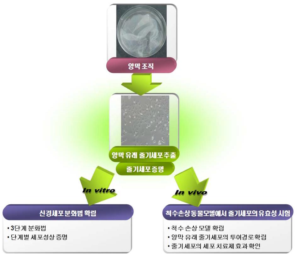 2차년도 연구 진행 체계도 및 고찰