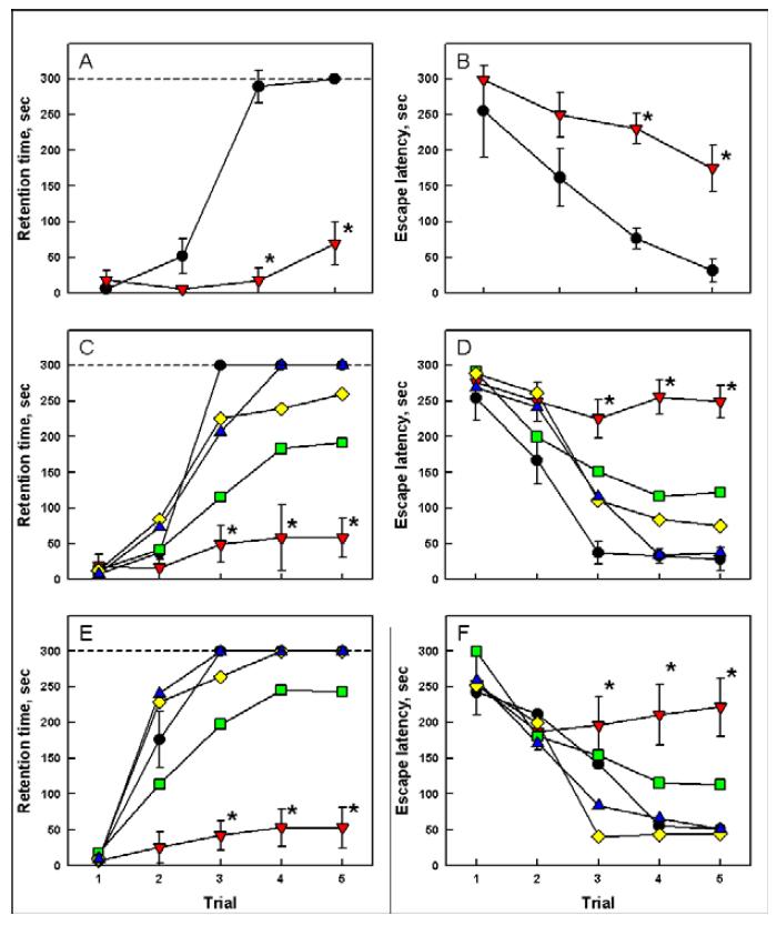 Passive avoidance (A & C) and water-maze (B & D) performances of rats immediately before (2 weeks after KA injection, A & B), 2 weeks (C & D) and 4 weeks (E & F) after transplantation of stem cells (1x106 cells/rat).