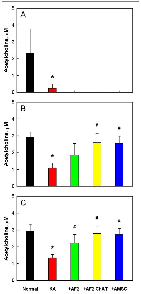 Acetylcholine concentration in cerebrospinal fluid of rats immediately before (2 weeks after KA injection, A), 2 weeks (B) and 4 weeks (C) after transplantation of stem cells (1x106 cells/rat).