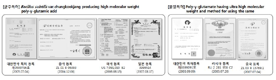 고분자량 폴리감마글루탐산 생산균주 특허 및 물질 특허 확보.