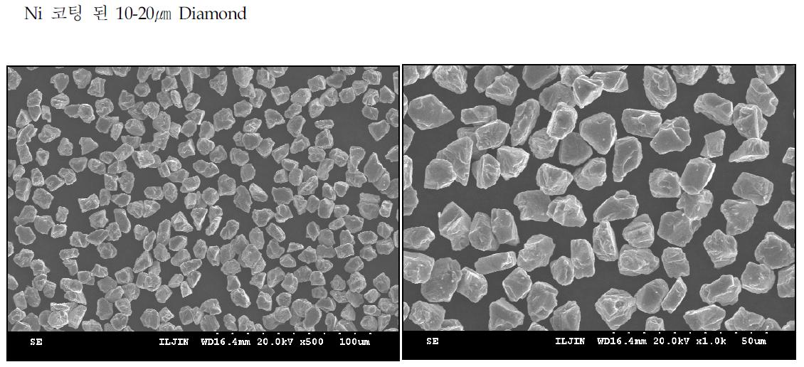 Ni 코팅 된 10-20㎛ SEM 분석