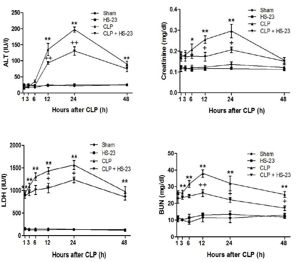 Effect of HS-23 on the serum level of proinflammatory cytokines(TNF-α, IL-1β, IL-6 and MCP-1) at various time points after CLP.