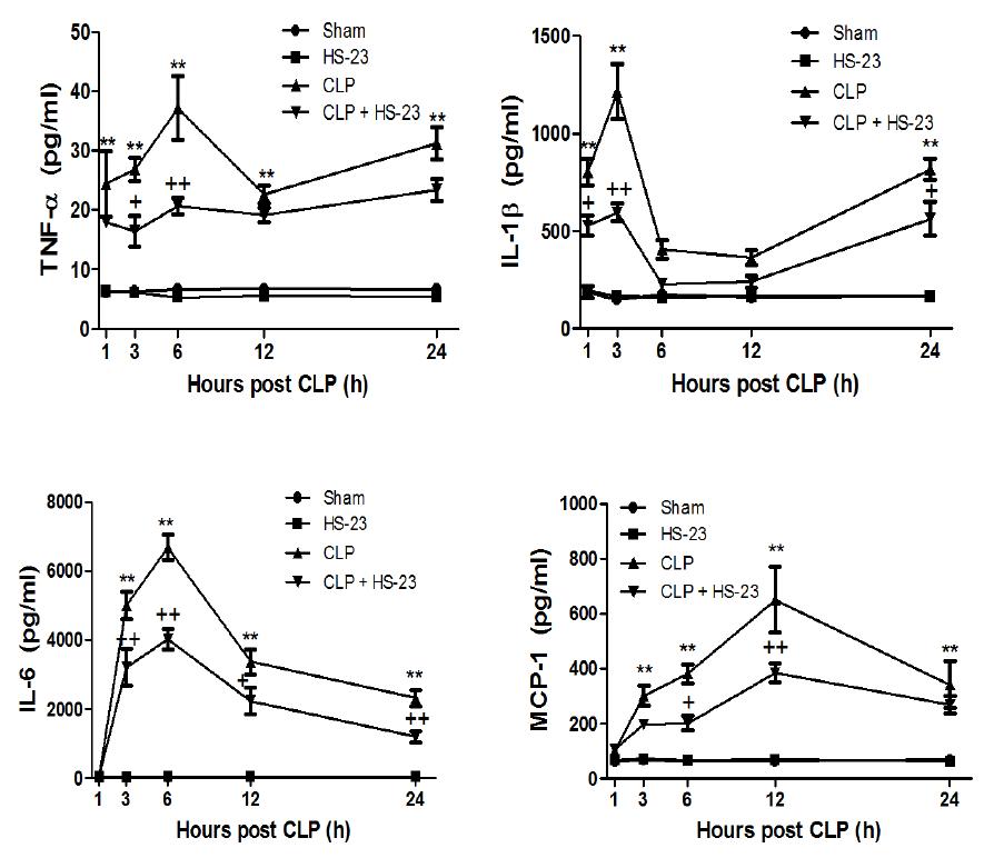 Effect of HS-23 on the serum level of proinflammatory cytokines(TNF-α, IL-1β, IL-6 and MCP-1) at various time points after CLP.