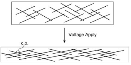 전압인가에 따른 탄소나노튜브가 첨가된 카본 전극의 물리적 변형시 증가되는 카본전극내의 접촉점