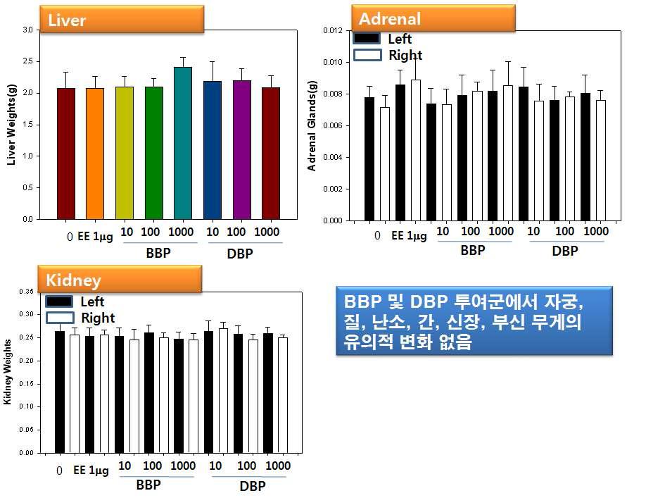 BBP 및 DBP 투여에 따른 암컷일반장기 무게 변화.