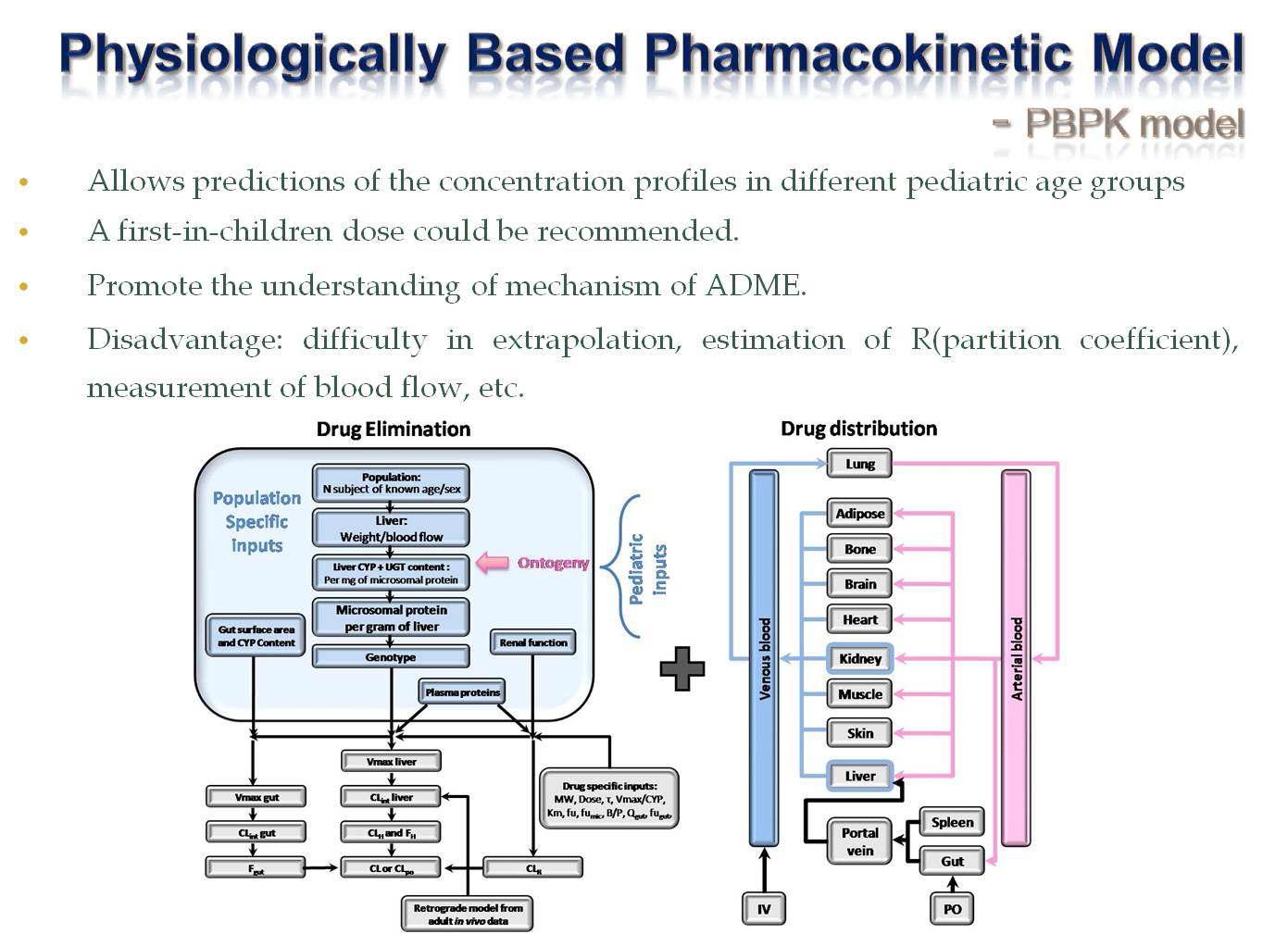 Physiologically based PK model을 이용한 소아 용량 예측 방법