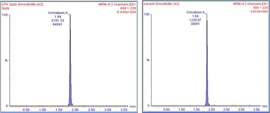 LC-MC chromatograms for standard ochratoxin (left) and ochratoxin from sample (right).